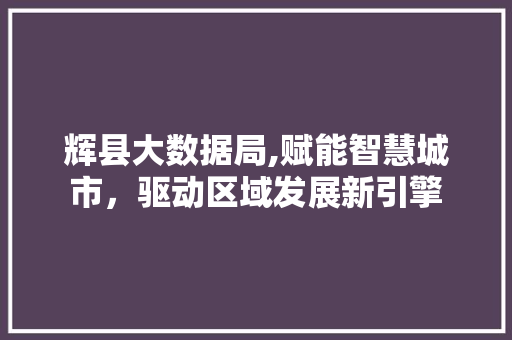 辉县大数据局,赋能智慧城市，驱动区域发展新引擎 网站优化
