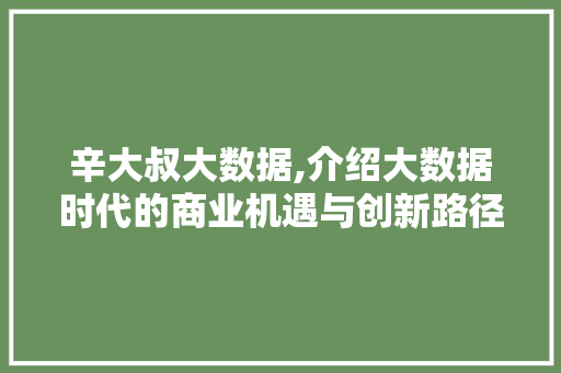 辛大叔大数据,介绍大数据时代的商业机遇与创新路径 360搜优化