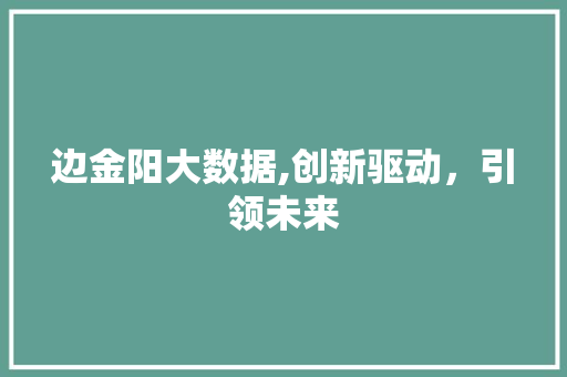 边金阳大数据,创新驱动，引领未来 AI技术学习