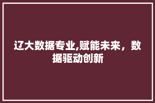 辽大数据专业,赋能未来,数据驱动创新 360搜优化 辽大数据专业,赋能未来,数据驱动创新 360搜优化