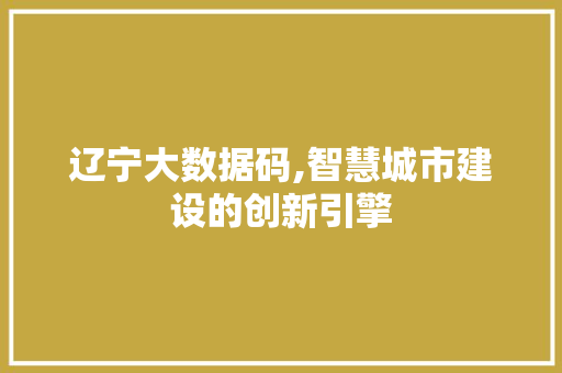 辽宁大数据码,智慧城市建设的创新引擎 网站优化