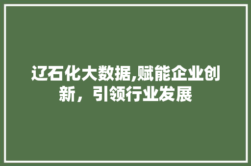 辽石化大数据,赋能企业创新，引领行业发展 网站开发