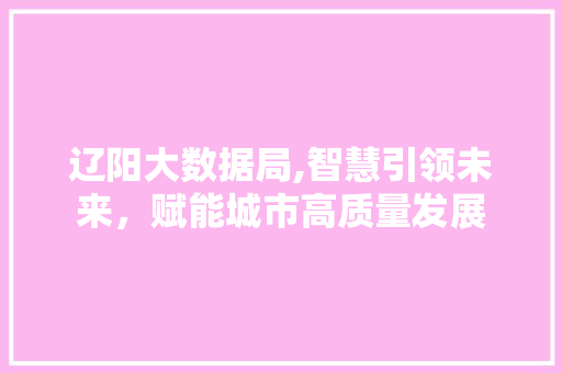 辽阳大数据局,智慧引领未来，赋能城市高质量发展