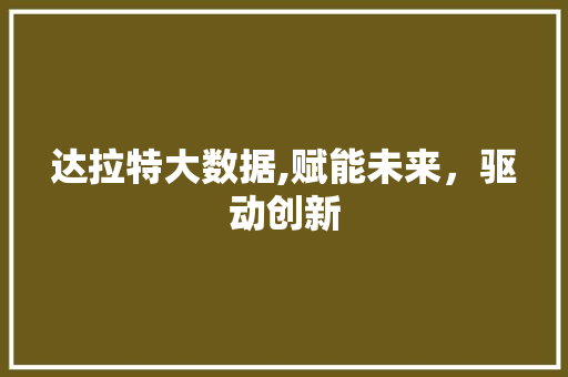 达拉特大数据,赋能未来，驱动创新 搜狗优化