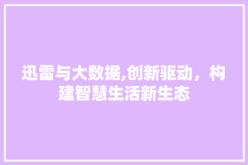 迅雷与大数据,创新驱动，构建智慧生活新生态