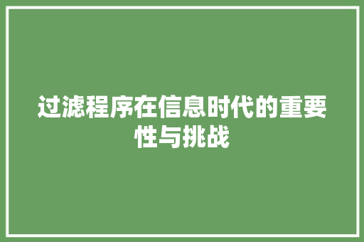 过滤程序在信息时代的重要性与挑战