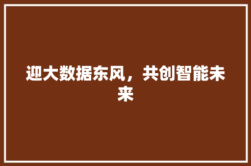迎大数据东风，共创智能未来