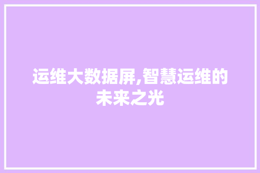 运维大数据屏,智慧运维的未来之光