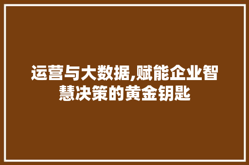 运营与大数据,赋能企业智慧决策的黄金钥匙 头条优化