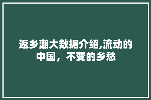 返乡潮大数据介绍,流动的中国，不变的乡愁