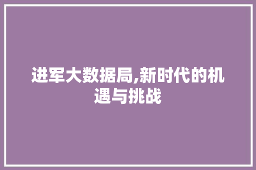 进军大数据局,新时代的机遇与挑战 搜狗优化