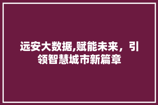 远安大数据,赋能未来，引领智慧城市新篇章 百度算法