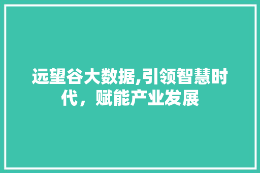 远望谷大数据,引领智慧时代，赋能产业发展 AI技术学习