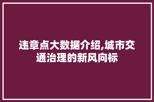 违章点大数据介绍,城市交通治理的新风向标