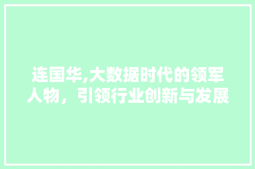 连国华,大数据时代的领军人物，引领行业创新与发展 头条优化