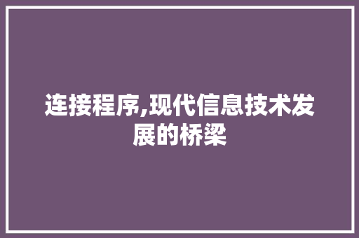 连接程序,现代信息技术发展的桥梁