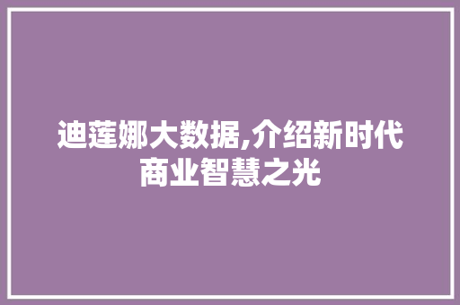 迪莲娜大数据,介绍新时代商业智慧之光