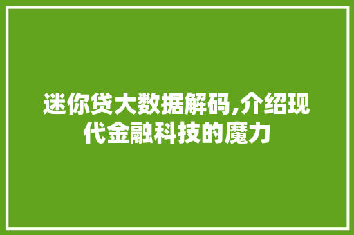 迷你贷大数据解码,介绍现代金融科技的魔力