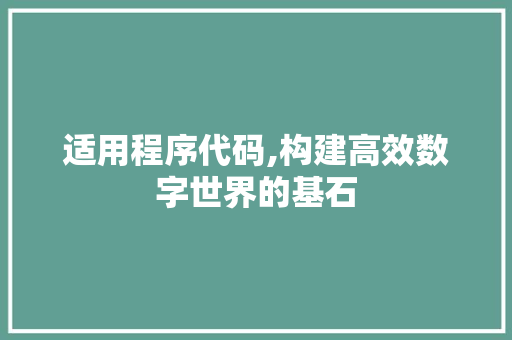 适用程序代码,构建高效数字世界的基石 网站优化
