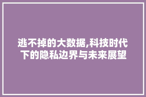 逃不掉的大数据,科技时代下的隐私边界与未来展望 英文谷歌算法