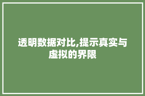 透明数据对比,提示真实与虚拟的界限