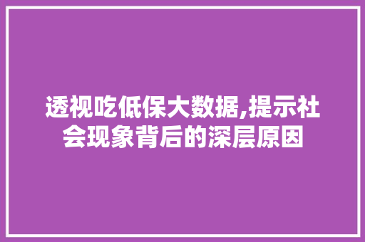 透视吃低保大数据,提示社会现象背后的深层原因