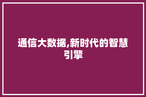通信大数据,新时代的智慧引擎 网站优化