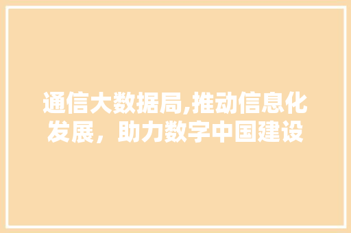 通信大数据局,推动信息化发展，助力数字中国建设 小程序开发