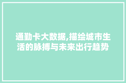 通勤卡大数据,描绘城市生活的脉搏与未来出行趋势