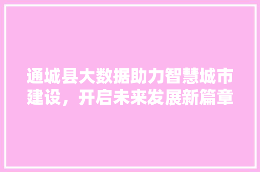 通城县大数据助力智慧城市建设，开启未来发展新篇章 网站开发