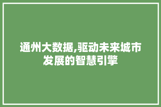 通州大数据,驱动未来城市发展的智慧引擎