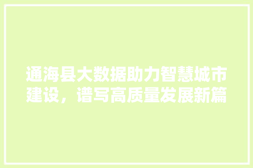 通海县大数据助力智慧城市建设，谱写高质量发展新篇章