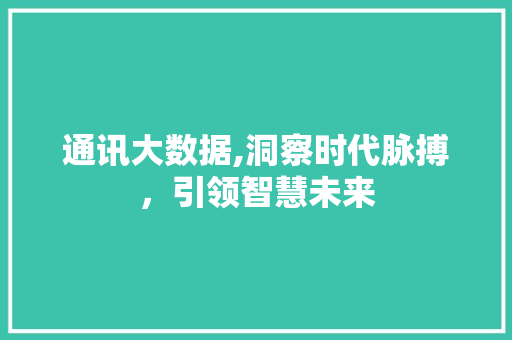 通讯大数据,洞察时代脉搏，引领智慧未来