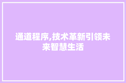 通道程序,技术革新引领未来智慧生活 百度算法