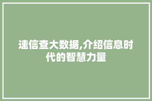 速信查大数据,介绍信息时代的智慧力量