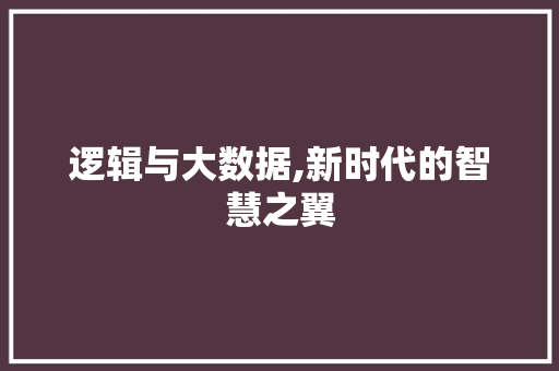 逻辑与大数据,新时代的智慧之翼