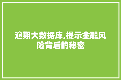 逾期大数据库,提示金融风险背后的秘密