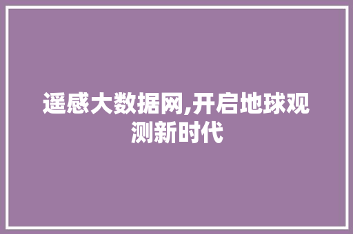 遥感大数据网,开启地球观测新时代