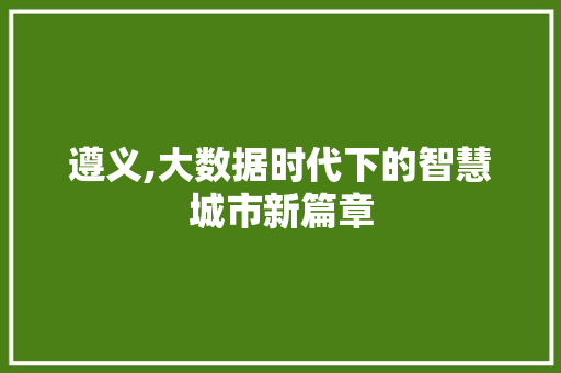 遵义,大数据时代下的智慧城市新篇章