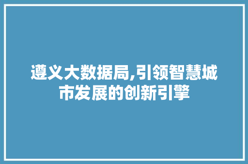遵义大数据局,引领智慧城市发展的创新引擎