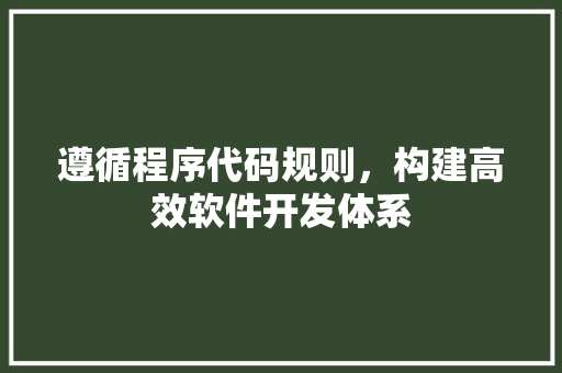 遵循程序代码规则，构建高效软件开发体系