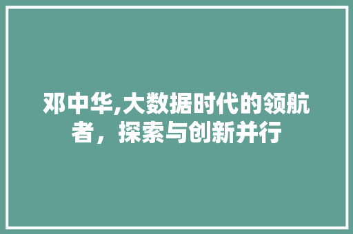 邓中华,大数据时代的领航者，探索与创新并行