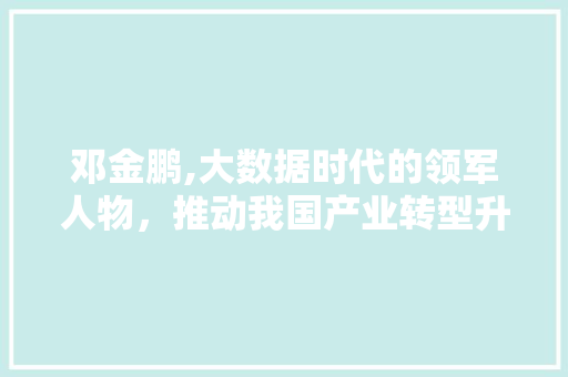 邓金鹏,大数据时代的领军人物，推动我国产业转型升级