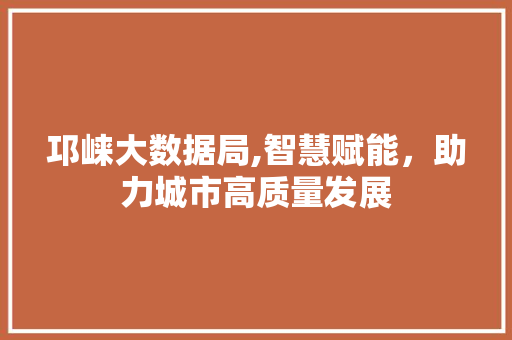 邛崃大数据局,智慧赋能，助力城市高质量发展 英文谷歌算法