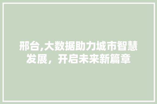 邢台,大数据助力城市智慧发展，开启未来新篇章 AI技术学习