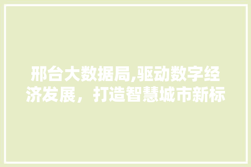 邢台大数据局,驱动数字经济发展，打造智慧城市新标杆
