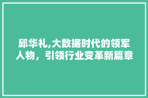 邱华礼,大数据时代的领军人物，引领行业变革新篇章