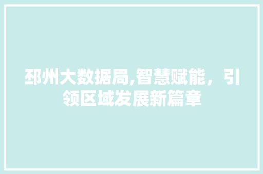邳州大数据局,智慧赋能，引领区域发展新篇章 百度算法