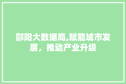 邵阳大数据局,赋能城市发展，推动产业升级
