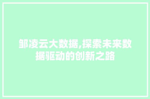 邹凌云大数据,探索未来数据驱动的创新之路